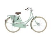 GAZELLE Classic R3T Low Step 51cm Pale Green  click to zoom image