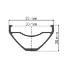 DT SWISS M 1900 wheel, 30 mm rim, 15 x 110 m BOOST axle, 29 inch front click to zoom image
