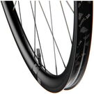 DT SWISS AR 1600 SPLINE disc brake wheel, clincher 30 x 20 mm, SRAM XDR rear click to zoom image