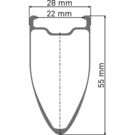 DT SWISS WHEL DT ARC11 WTS 55mm DB RR click to zoom image